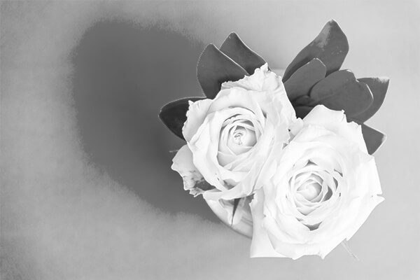 vista superior de vaso de flores em tons de cinza